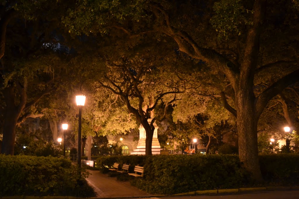 Explore Savannah 5 Things to Do At Night While on Business Savannah